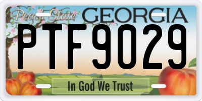 GA license plate PTF9029