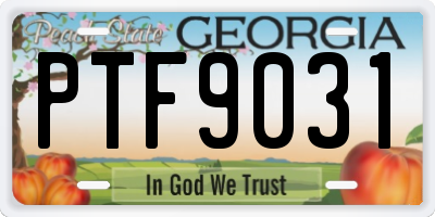 GA license plate PTF9031