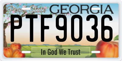 GA license plate PTF9036