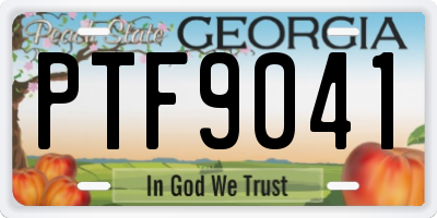 GA license plate PTF9041