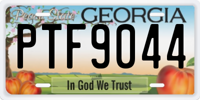 GA license plate PTF9044