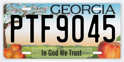 GA license plate PTF9045