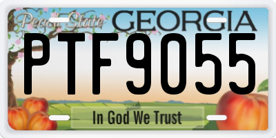 GA license plate PTF9055