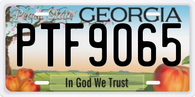 GA license plate PTF9065