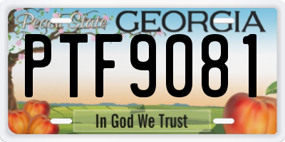 GA license plate PTF9081