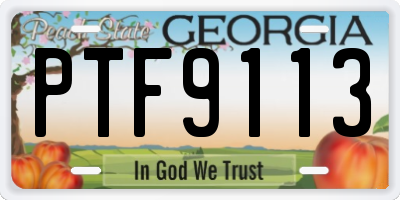GA license plate PTF9113