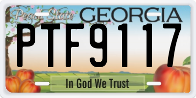 GA license plate PTF9117