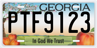 GA license plate PTF9123