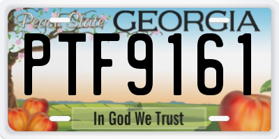 GA license plate PTF9161