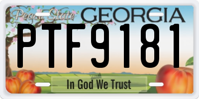 GA license plate PTF9181