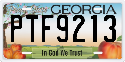 GA license plate PTF9213