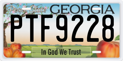 GA license plate PTF9228