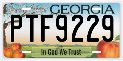 GA license plate PTF9229