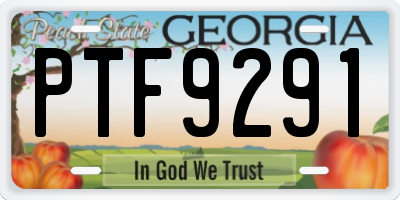 GA license plate PTF9291