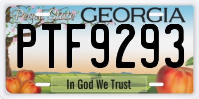 GA license plate PTF9293