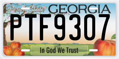 GA license plate PTF9307