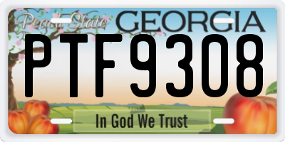 GA license plate PTF9308