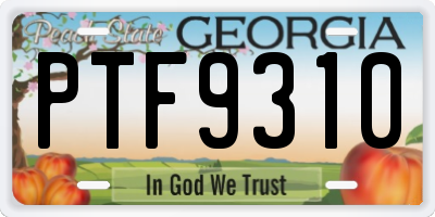 GA license plate PTF9310