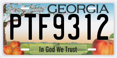 GA license plate PTF9312