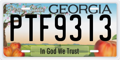 GA license plate PTF9313