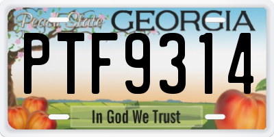 GA license plate PTF9314