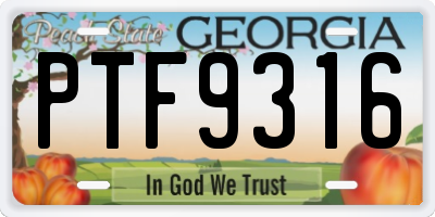 GA license plate PTF9316