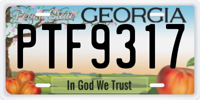 GA license plate PTF9317