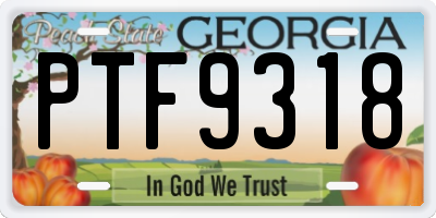 GA license plate PTF9318