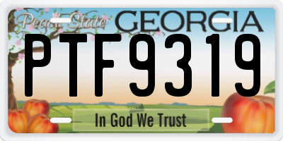 GA license plate PTF9319