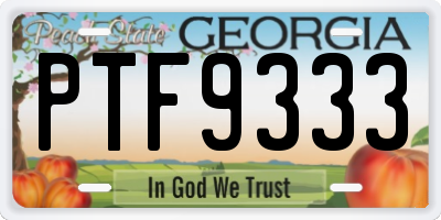 GA license plate PTF9333
