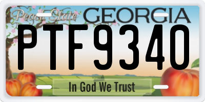 GA license plate PTF9340