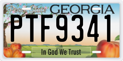 GA license plate PTF9341