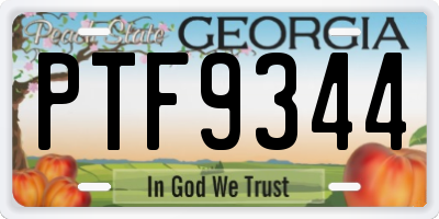 GA license plate PTF9344