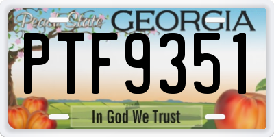 GA license plate PTF9351