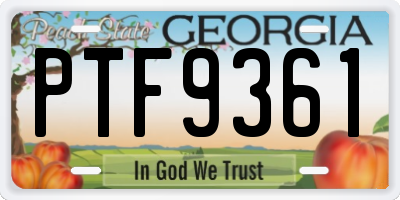 GA license plate PTF9361