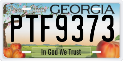 GA license plate PTF9373