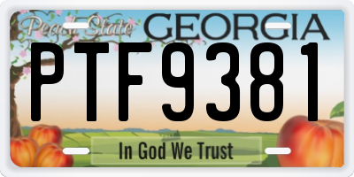 GA license plate PTF9381