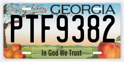 GA license plate PTF9382