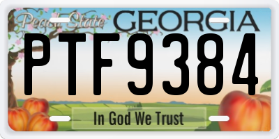 GA license plate PTF9384