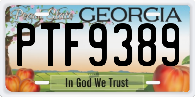 GA license plate PTF9389