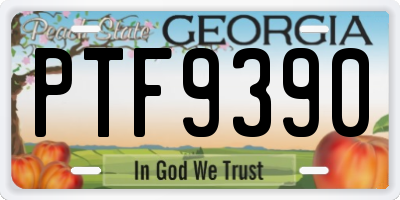 GA license plate PTF9390