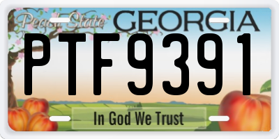 GA license plate PTF9391