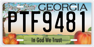 GA license plate PTF9481