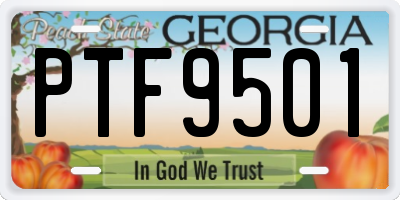 GA license plate PTF9501