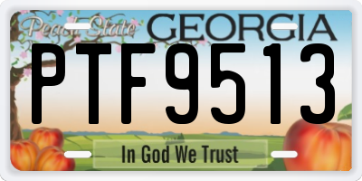 GA license plate PTF9513
