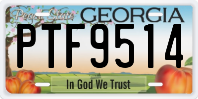 GA license plate PTF9514