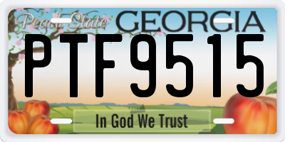 GA license plate PTF9515
