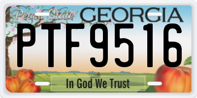GA license plate PTF9516