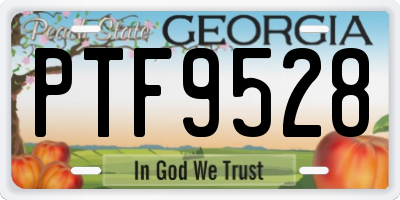 GA license plate PTF9528