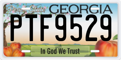 GA license plate PTF9529